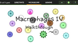 Cell lab: Level 10 Macrophages IV Walkthrough