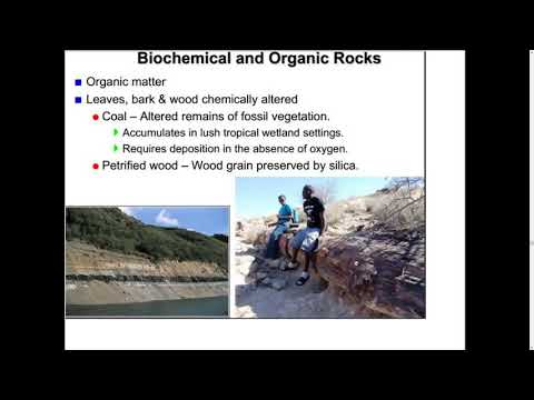 What Does Biochemical Mean In Geology