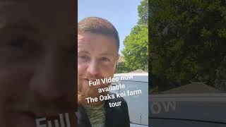 The Oaks Koi farm tour #japanesekoi #koifish #koipond #koifarm