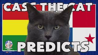 CASS THE CAT PREDICTS COPA AMERICA 2024 - BOLIVIA vs PANAMA