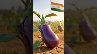 Indian army 🪖India sv Pakistan#shorts #trending #ai #india #indianarmy #aivideo