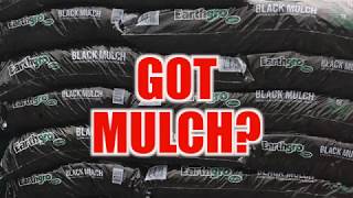 Scott's Earthgro Mulch Color Renewal Spray - REVIEW