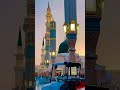 islamic video#love#quotes#shortvideo#goldenwords#viralvideo#motivation#video#best#