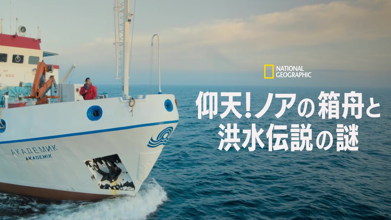 潜在能力点火法 ノアの箱舟 1.2.3 2025年最新】Yahoo!オークション