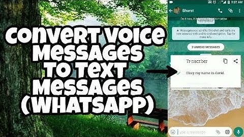 Convert WhatsApp Voice Messages to Text Messages