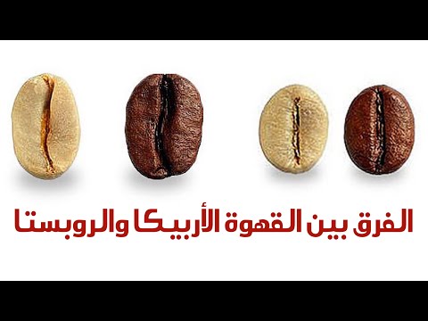 فيديو: كيف تؤثر القهوة المزروعة في الشمس على البيئات المحلية؟
