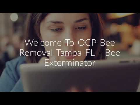 OCP Bee Removal Service in Tampa, FL