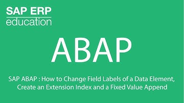 SAP ABAP : Change Field Labels, Create an Extension Index and Fixed Value Append