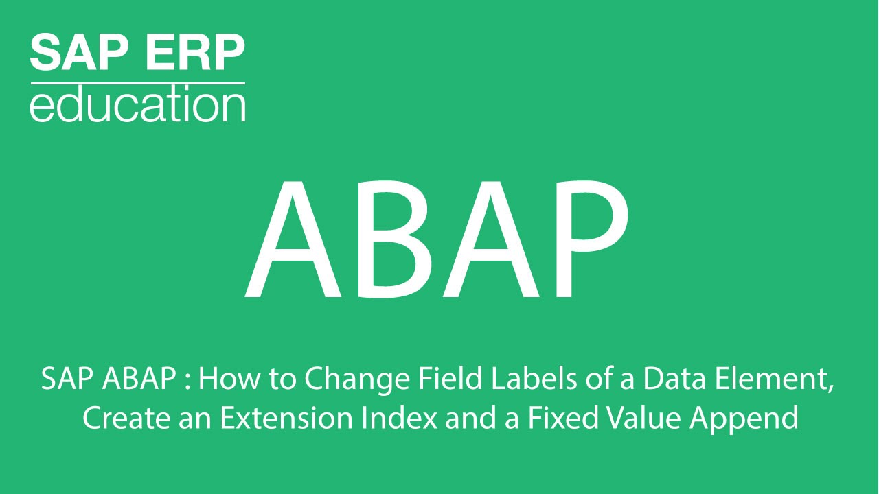 Sap abap change field labels create an extension index and fixed