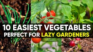 Celebrity 10 Easiest Vegetables That Basically Grow Themselves! Net Worth