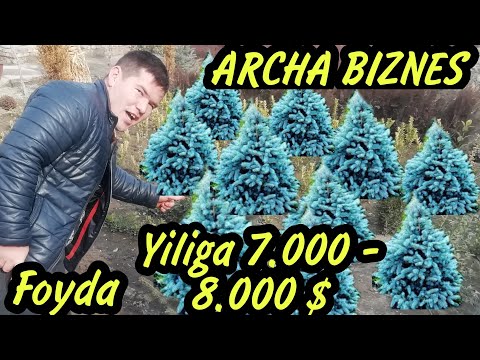 Archa biznes uy sharoitida yiliga 7.000-8.000 $$$daromadd