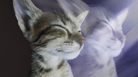 Alat Pendeteksi Kebakaran Berbasis Arduino UNO