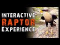 Visit to avian behavior international  caracara owl vulture and more