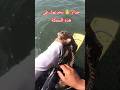 هاذي هي السمكة لي كا يخدعوا بها الناس