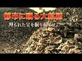 【都市鉱山】都市に眠る大鉱脈 埋もれた宝を掘り起こせ!|ガリレオX第46回