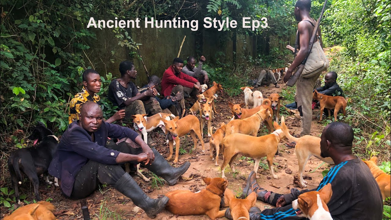 The Untold Story Of How Nigerian/African Hunters Hunt For bushmeat Ep3