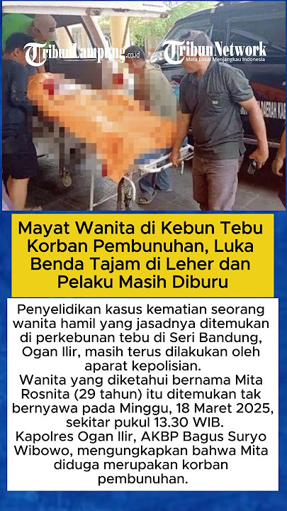 Mayat Wanita di Kebun Tebu Korban Pembunuhan, Luka Benda Tajam di Leher dan Pelaku Masih Diburu
