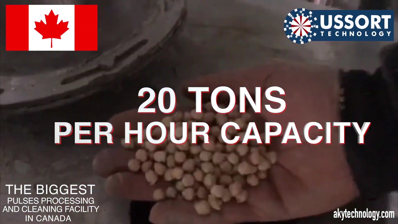 Pulses Processing Plant, Canada - AKY Technology