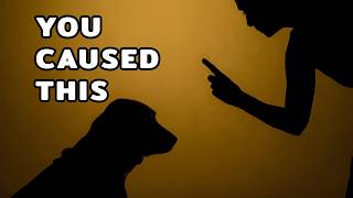 These 7 Emotional Triggers Can Flip Your Dog’s Behavior in Seconds