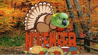 Hello November Starring Coco
