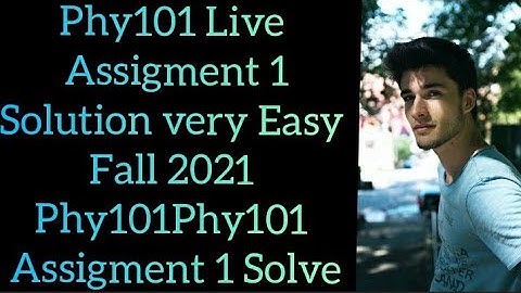 Phy101 Assigment 1 solution❤ Fall 2021  get 100% Marks