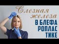 Слезная железа в блефаропластике. Влияние слезного канала на операцию.