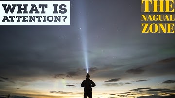 What is Attention? - The Nagual Zone| Carlos Castaneda| Don Juan Matus