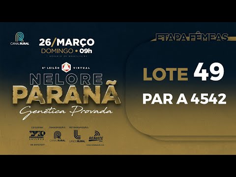 LOTE 49 PAR A4542