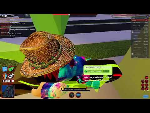 დღეს გვექნება ეემჯისთან ერთად და ჰაკერებთან ერთად ძარცვაობა