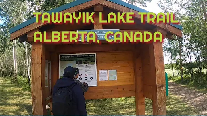 TAWAYIK LAKE TRAIL, ALBERTA, CANADA