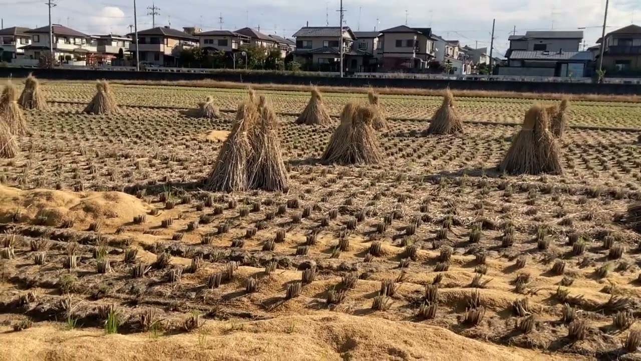 母さんの歌　童謡　syuchan