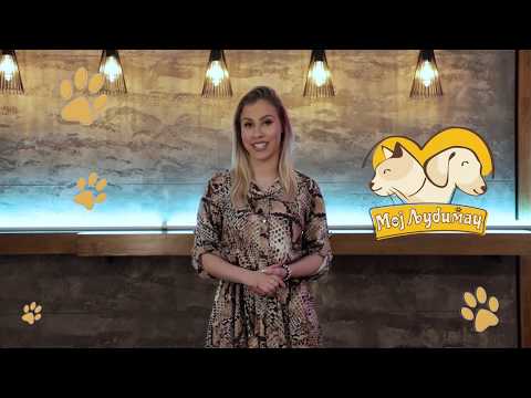 Video: Srednjeazijski Ovčar Doma