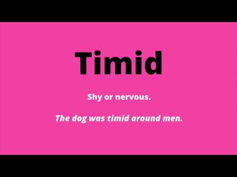 Learn English Vocabulary - Timid