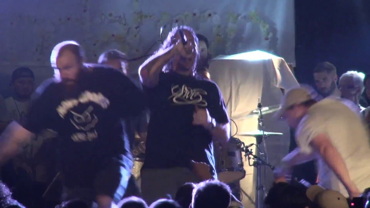 Foundation - Purple Heart (FINAL SHOW)