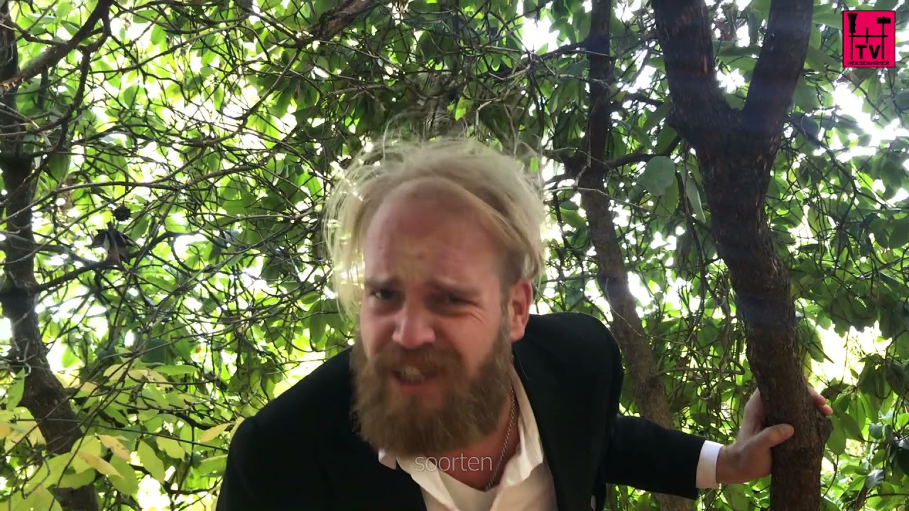 Douwe Dijkstra en de sneue vertoning | Necropop on the road 3 | Der Südfriedhof