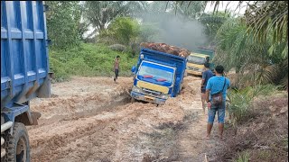 Ignited a Burning Fire! The truck driver had already entered and struggled to get to the safe zone