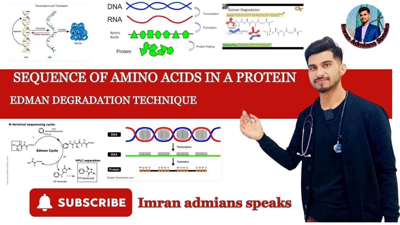 Sequence of amino acids in a protein || Edman degradation technique ...