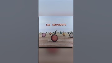 WTF Is This Animated Short?!? #animation