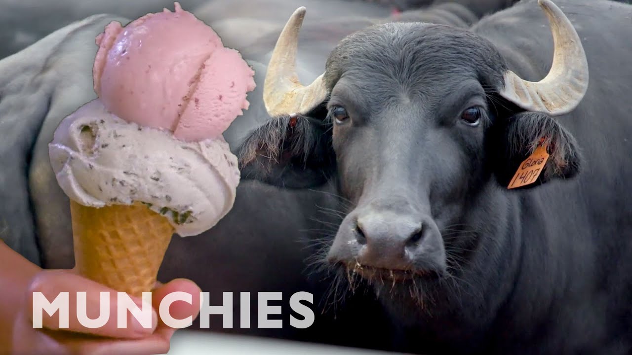 Farm to Cone | The Ice Cream Show | Munchies