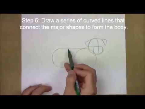 Video: Puglar Nasıl çizilir