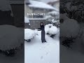 平尾帆夏 2026/01/02 #日向坂46 の動画、YouTube動画。