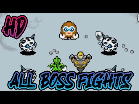 All Boss Fights - Pokemon Mystery Dungeon: Explorers of Sky (HD)