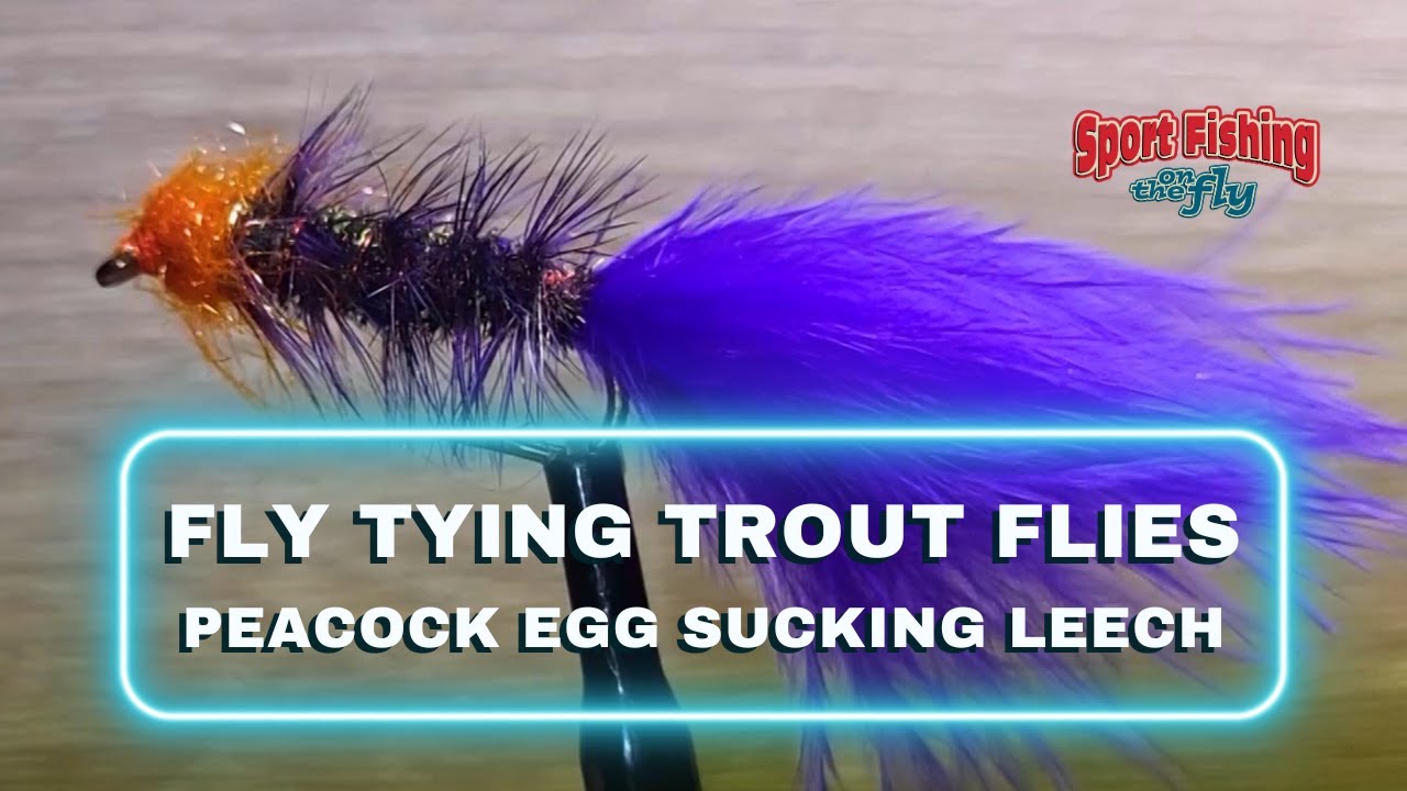 FLY TYING TROUT FLIES - PRO STAFF ON THE BENCH: PEACOCK EGG