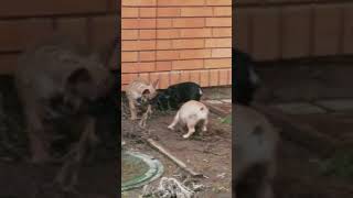 20180107 160819