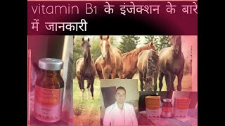 थायमीन Vitamin B•1 के बारे में जानकरी VIT B 1 इंजेक्शन की सम्पूर्ण जानकारी हिंदी में thi. deficiency