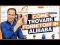 Trovare fornitori e prodotti su Alibaba