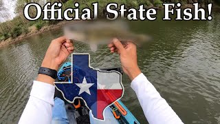 The Official State Fish of Texas // Success on the River in an Old Town PDL 106