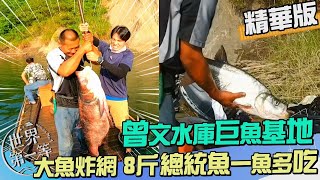 【嘉義】直搗曾文水庫大頭鰱基地 巨無霸總統魚一魚多吃可遇不可求砂鍋魚頭&總統魚料理《世界第一等》1029集精華版