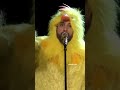 Funny Performance Backstreet Boys Duck - Chanel https://youtube.com/channel/UCUJecbRlPTYkKa_bnN6Oz4Q