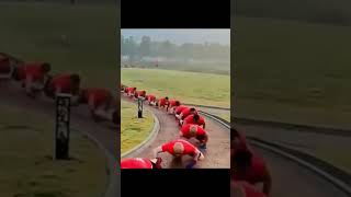 🐊Chinese Crocodile -  Китайская гимнастика "Ползание крокодила"